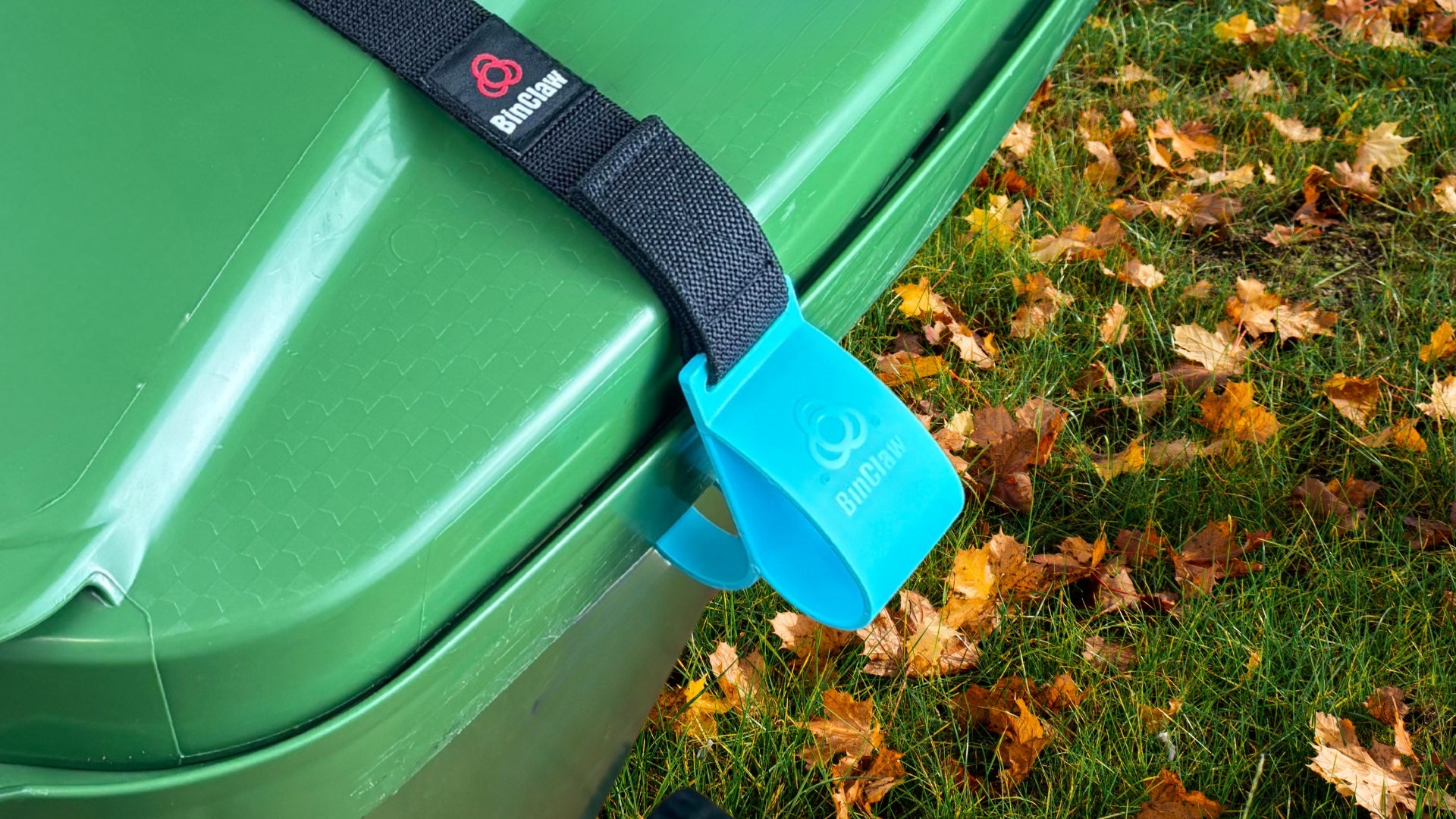 Green trash bin with a blue strap and black buckle on grass with fallen leaves
